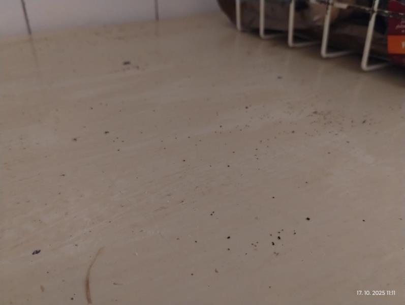 Ilustrační fotografie č. 8