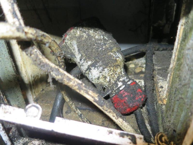 Ilustrační fotografie č. 2