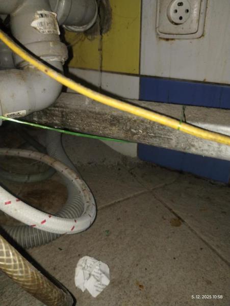 Ilustrační fotografie č. 32