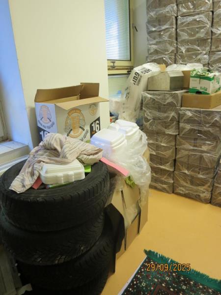 Illustrative photo no. 10