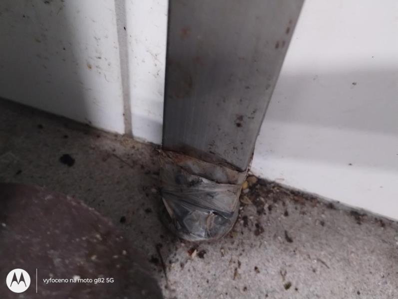 Ilustrační fotografie č. 7