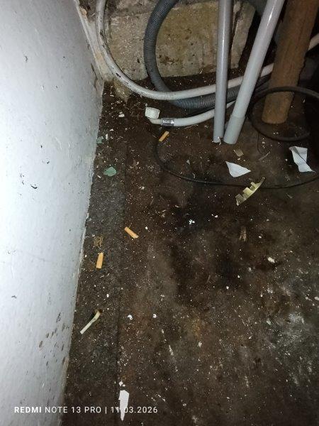 Illustrative photo no. 8