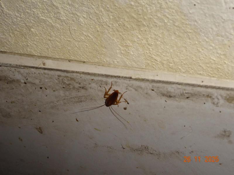 Ilustrační fotografie č. 7