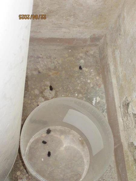 Ilustrační fotografie č. 10