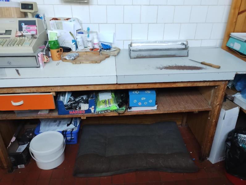 Ilustrační fotografie č. 3