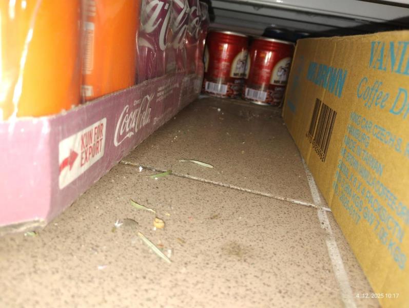 Ilustrační fotografie č. 4