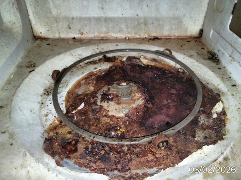 Ilustrační fotografie č. 6