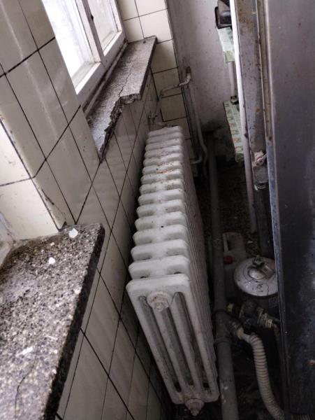 Illustrative photo no. 10