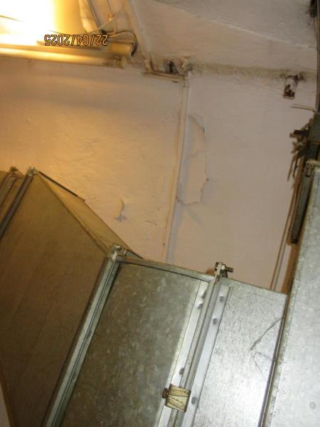 Ilustrační fotografie č. 4