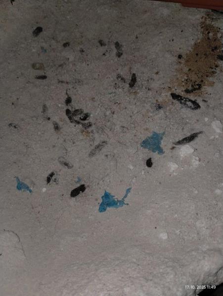 Ilustrační fotografie č. 21