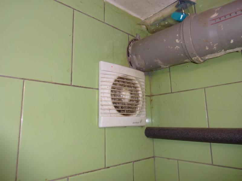 Ilustrační fotografie č. 6