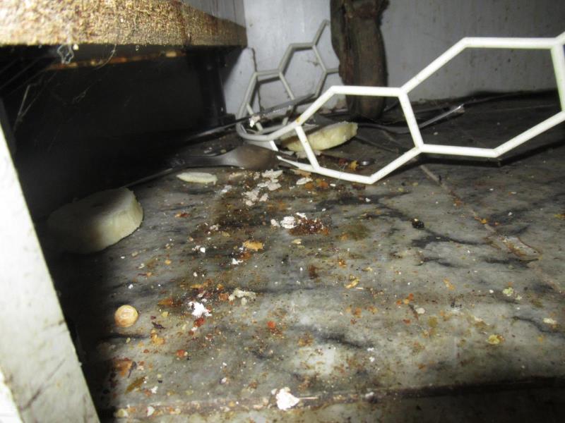 Ilustrační fotografie č. 15