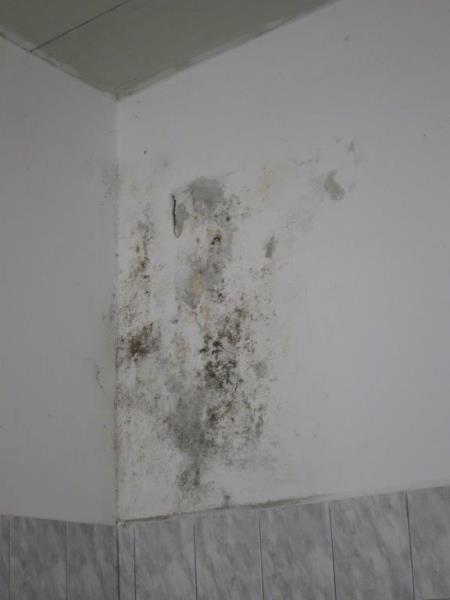 Illustrative photo no. 2