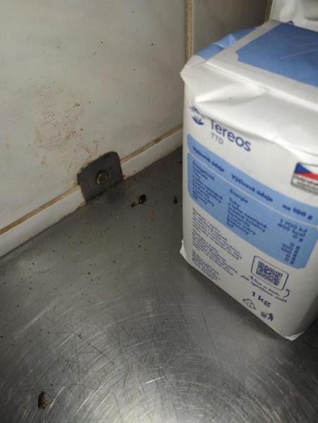 Ilustrační fotografie č. 6