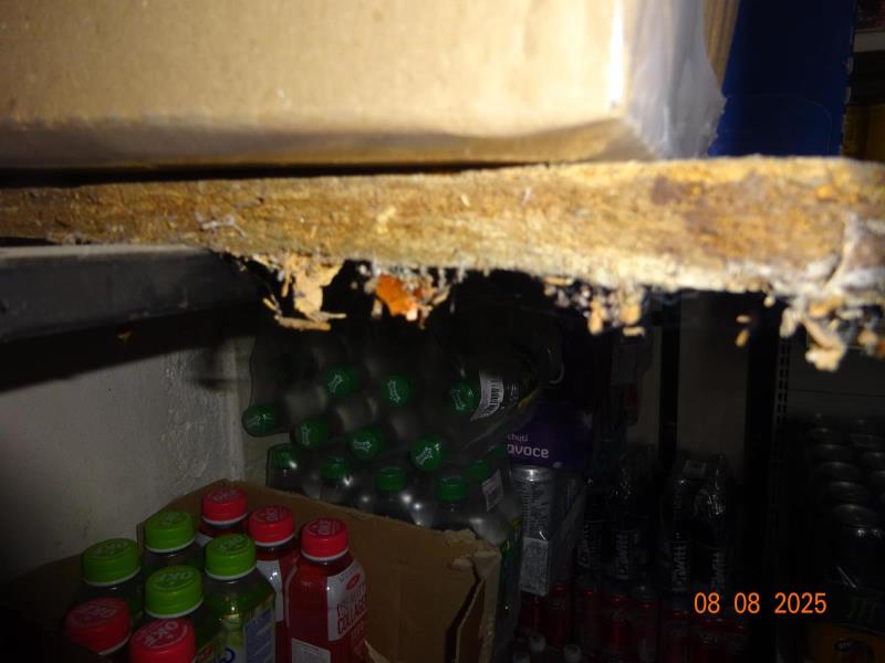 Ilustrační fotografie č. 25