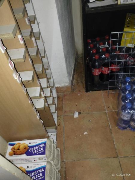 Ilustrační fotografie č. 6