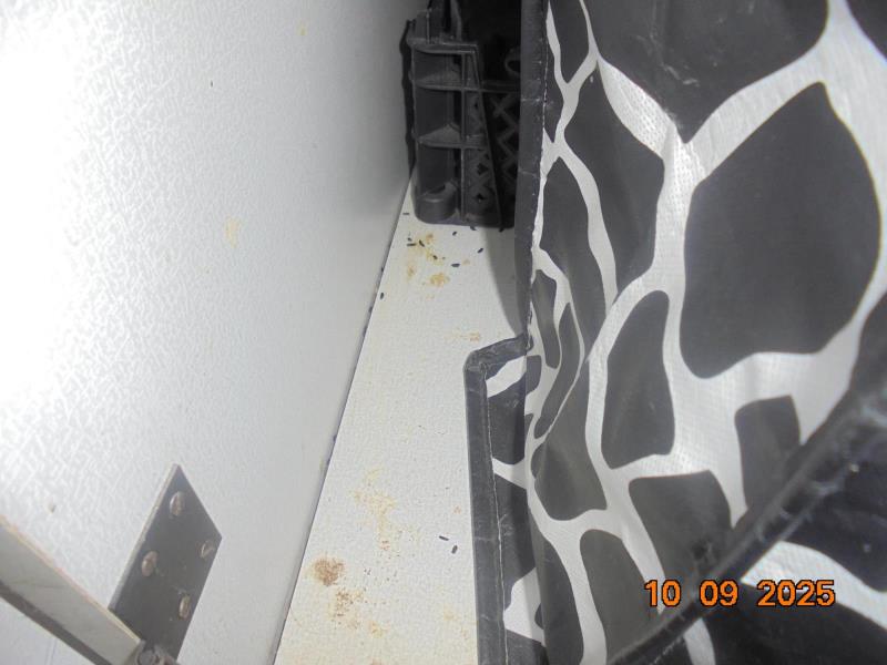 Ilustrační fotografie č. 8