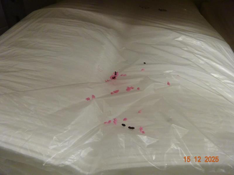 Ilustrační fotografie č. 2