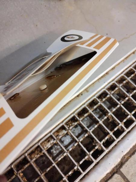 Ilustrační fotografie č. 6