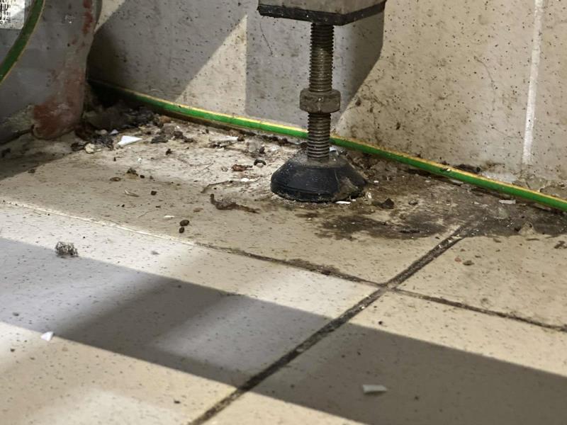 Ilustrační fotografie č. 12