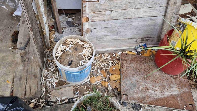 Ilustrační fotografie č. 10