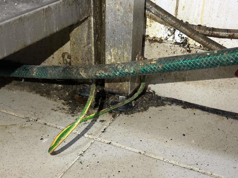 Ilustrační fotografie č. 16