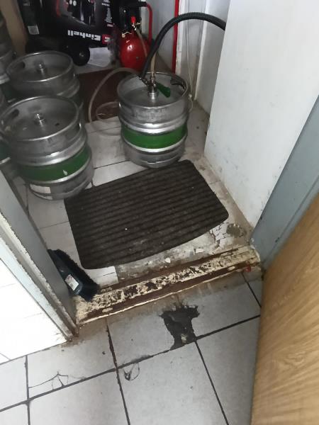 Illustrative photo no. 16