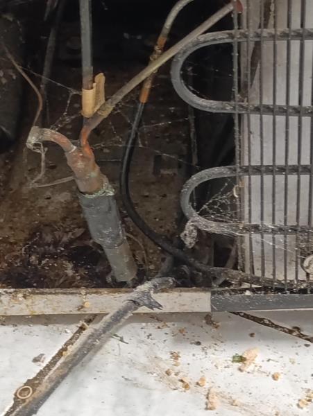 Illustrative photo no. 11