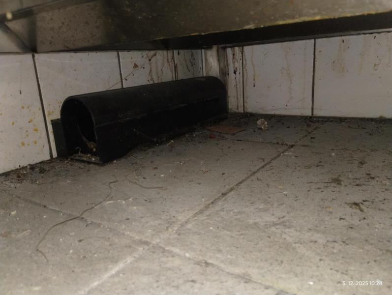 Ilustrační fotografie č. 26