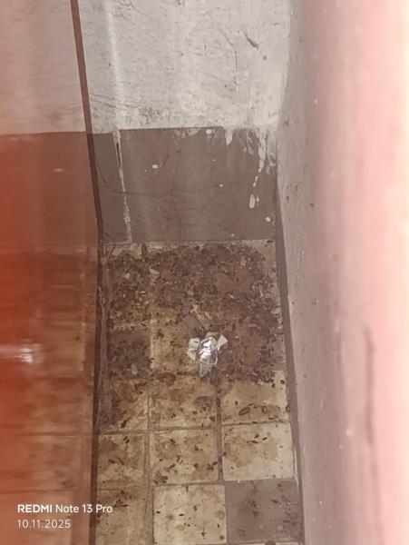 Illustrative photo no. 12