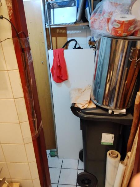 Illustrative photo no. 12