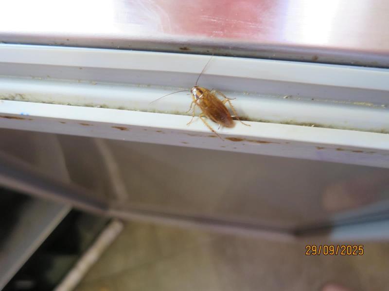 Illustrative photo no. 16