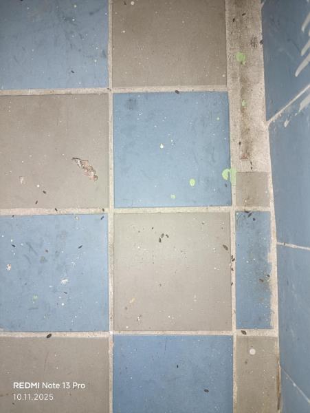 Illustrative photo no. 7