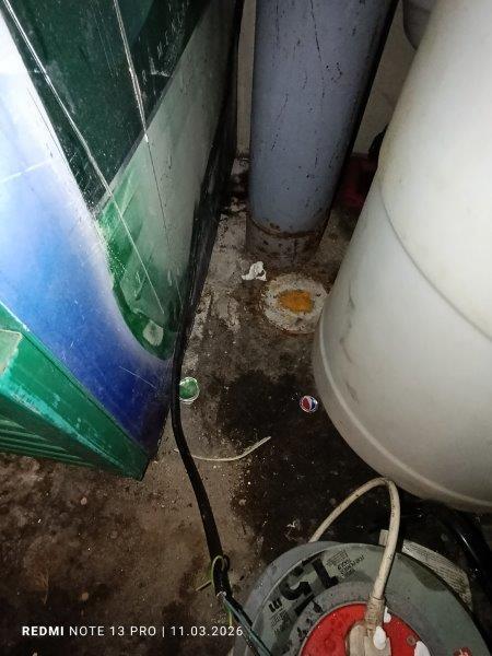 Illustrative photo no. 7