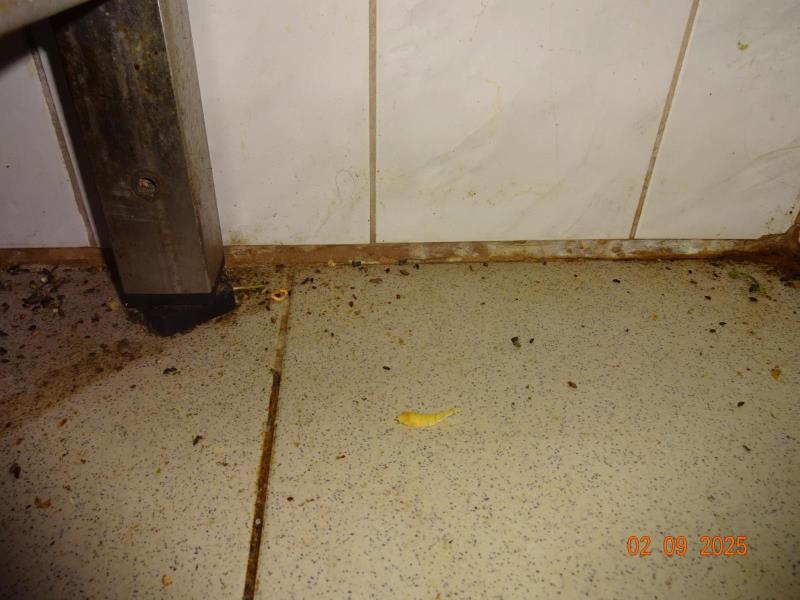 Illustrative photo no. 8