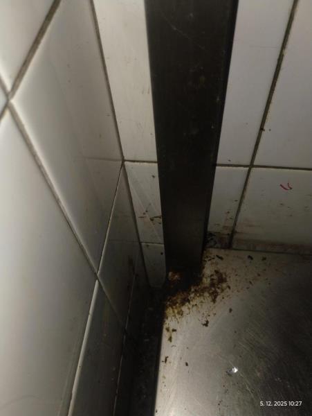 Ilustrační fotografie č. 2