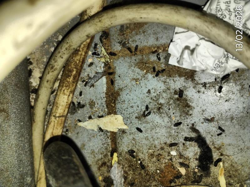 Ilustrační fotografie č. 18