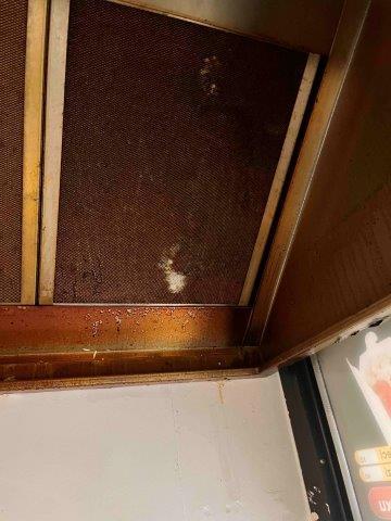 Ilustrační fotografie č. 10