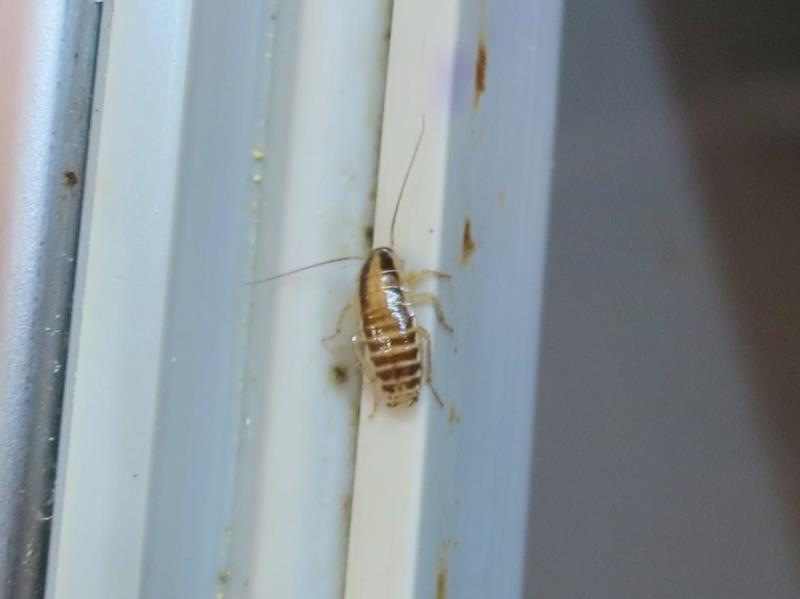 Illustrative photo no. 14