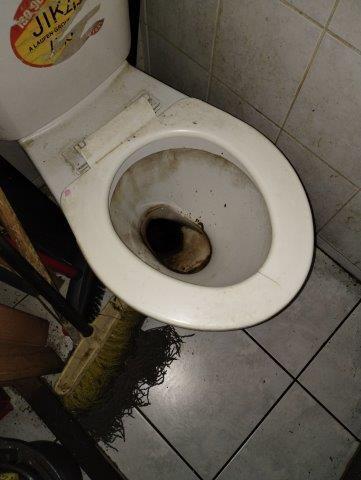 Ilustrační fotografie č. 8