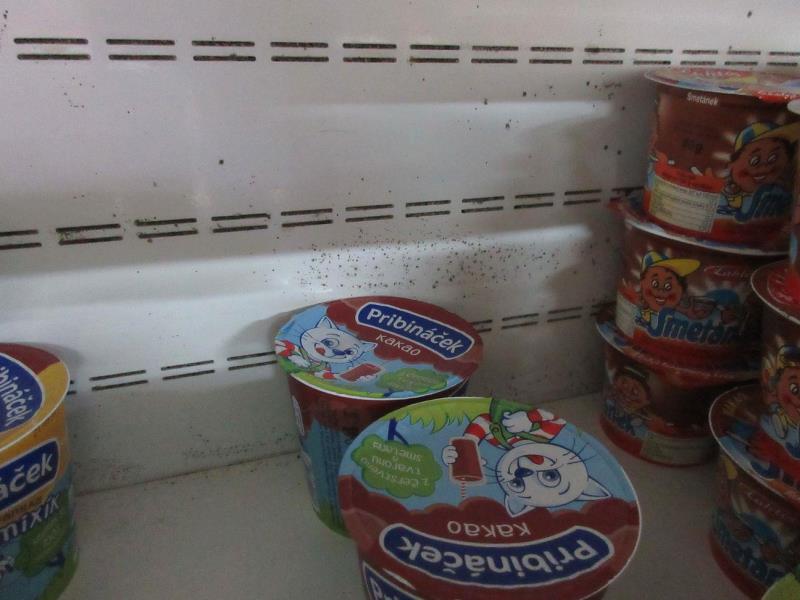 Illustrative photo no. 3