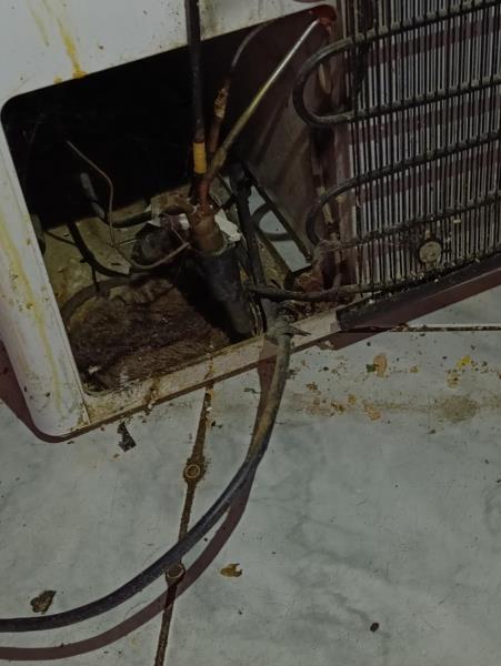 Illustrative photo no. 10