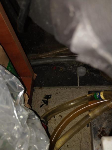 Ilustrační fotografie č. 12