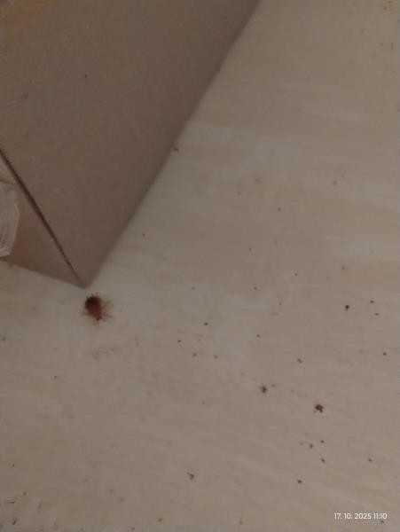 Ilustrační fotografie č. 5