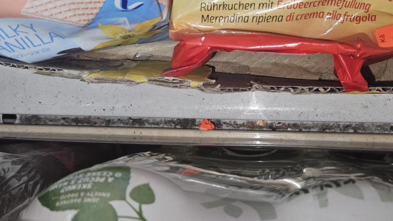 Ilustrační fotografie č. 19