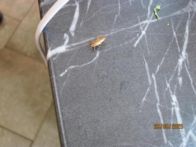 Illustrative photo no. 13