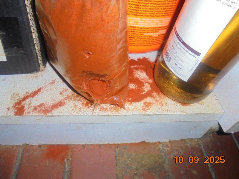 Ilustrační fotografie č. 7