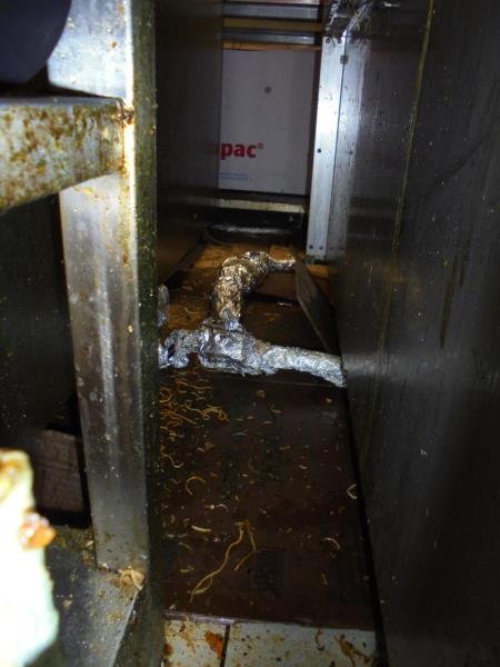 Ilustrační fotografie č. 15