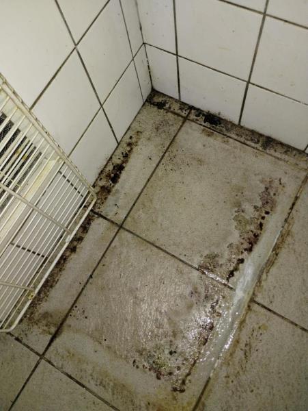 Ilustrační fotografie č. 6