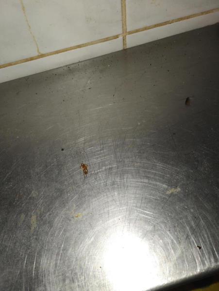 Ilustrační fotografie č. 5